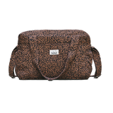Leopard_noir